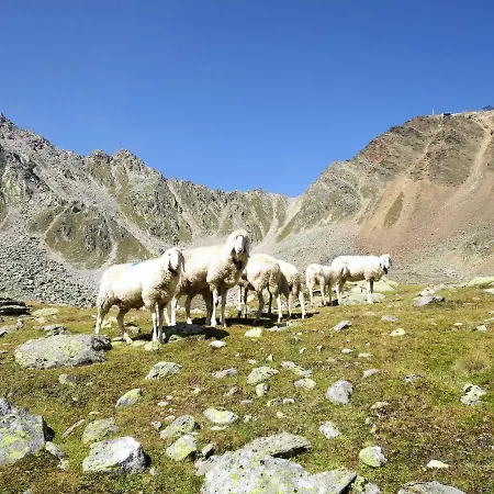 公寓 Bergers *
